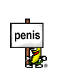 penis